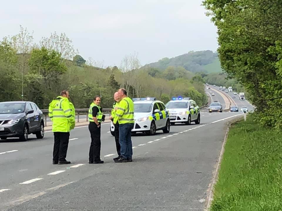 EquineRescueServices tweet media