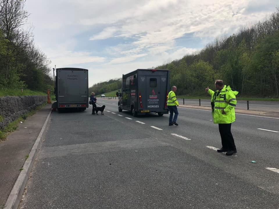 Rolling road block for a horse transfer 🐴 #roadclosed #horsebox #equinerescueservices