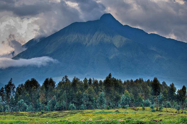 ChristinaMalkia's tweet photo. Petit à petit mon #Congo, mon #Kivu , se réveille! : 300 touristes ont visité le #parc national de #virunga au mois d'avril; depuis la réouverture des activités- Innoncent mburanumwe directeur adjoint pnvi. ACP #tourism #park #Virunga #VisitingCongo https://t.co/IiNSMv1Skc