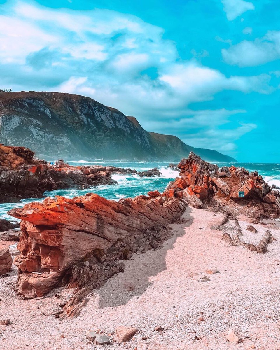 JReadsTheRoom's tweet photo. RT TsitsikammaT "RT Tourism_gov_za: Along the south coast of South Africa lies one of the most beautiful stretches of the coastline in the world 🌊"⠀Photo By: seetheworldbeautiful

TsitsikammaT #gardenroute #tsitsikamma #meetsouthafrica #WednesdayMoti… https://t.co/UW35uvAOhT"