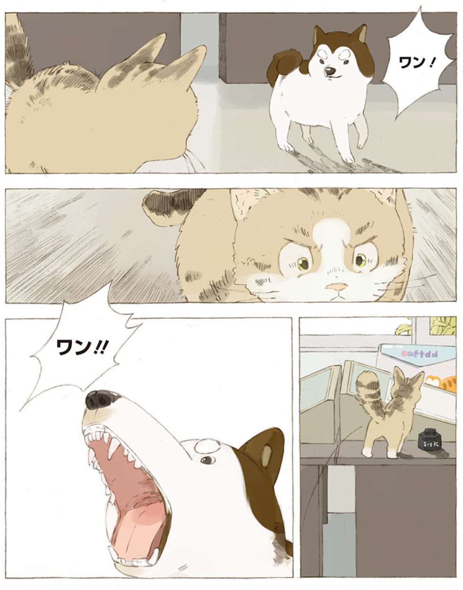 [4話 前編]彼女と彼
https://t.co/B9jsM3owP7

ひそかにジャンプラの中で応援してる漫画。
動物と女の子が超かわいい。

#ジャンププラス 