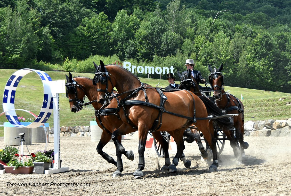 Bromont Driving is coming soon / L'International d'attelage de Bromont se prépare - mailchi.mp/internationalb…