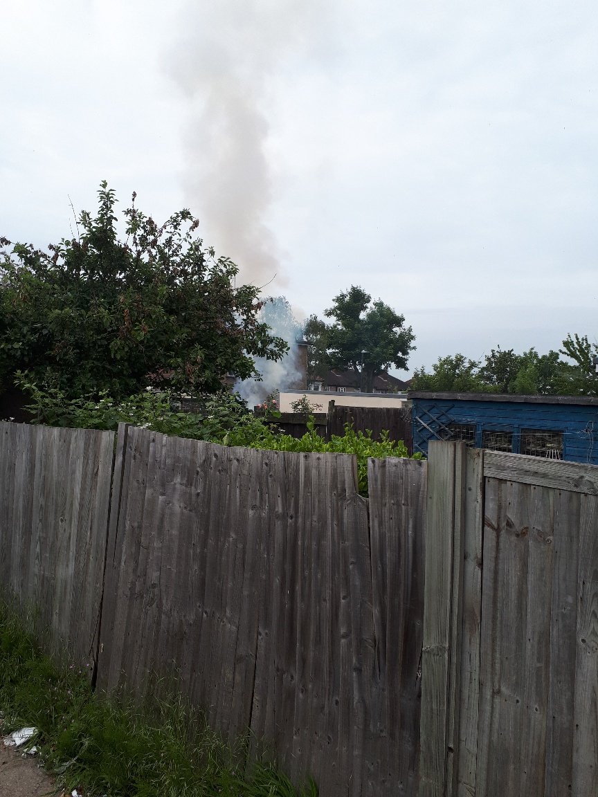 windowsharrow's tweet photo. Sad to see people just burning trees in their garden https://t.co/oZWvaf0AHj