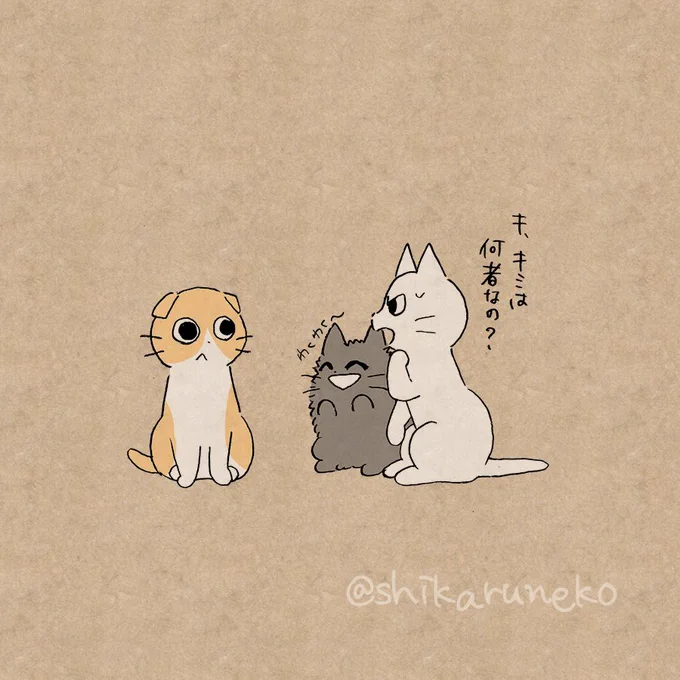 夜更かしさんと、しかるねこと、あまやかすねこと…?【その2】 