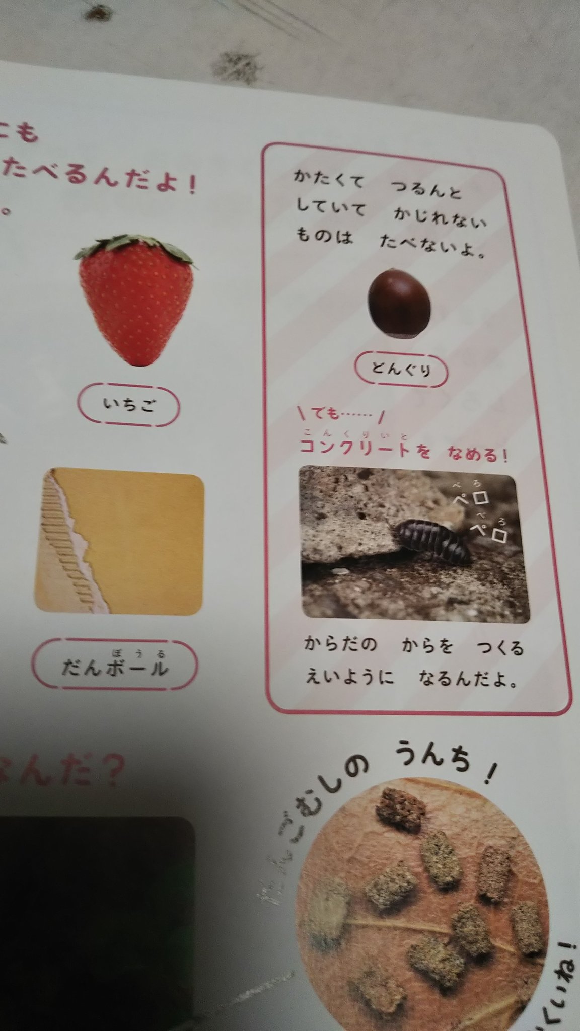テルヒサ Goruyoshi 555 ダンゴムシの食べ物微生物 勉強になります Twitter