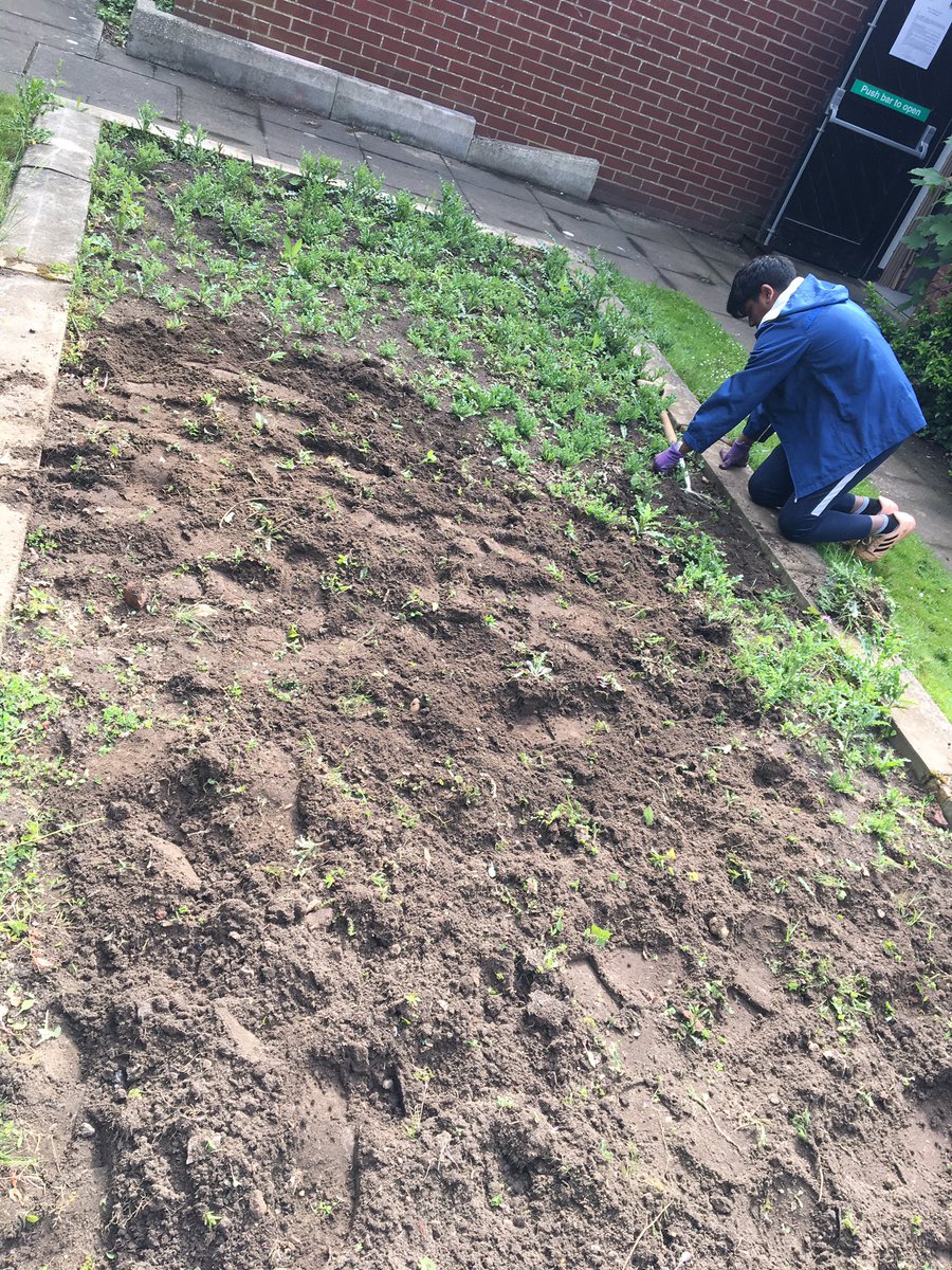 SCIENCE_BGS's tweet photo. #gardening @bostongrammar ready for #lincsshow2019 thanks to @BellsOutlet and #bowsers of Friskney 👍 https://t.co/p8gdO1R5Py