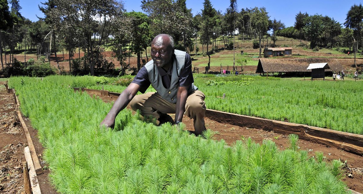 ReSAKSS's tweet photo. Evidence from the #2018ATOR suggests that #SocialProtection programs such as #CashTransfer can provide more than just social assistance, these can contribute 2 economic &amp; social development by building human capital, skills &amp; productivity  https://t.co/ZBqZoHS5tG @TransferProjct https://t.co/idL1t7CrKg