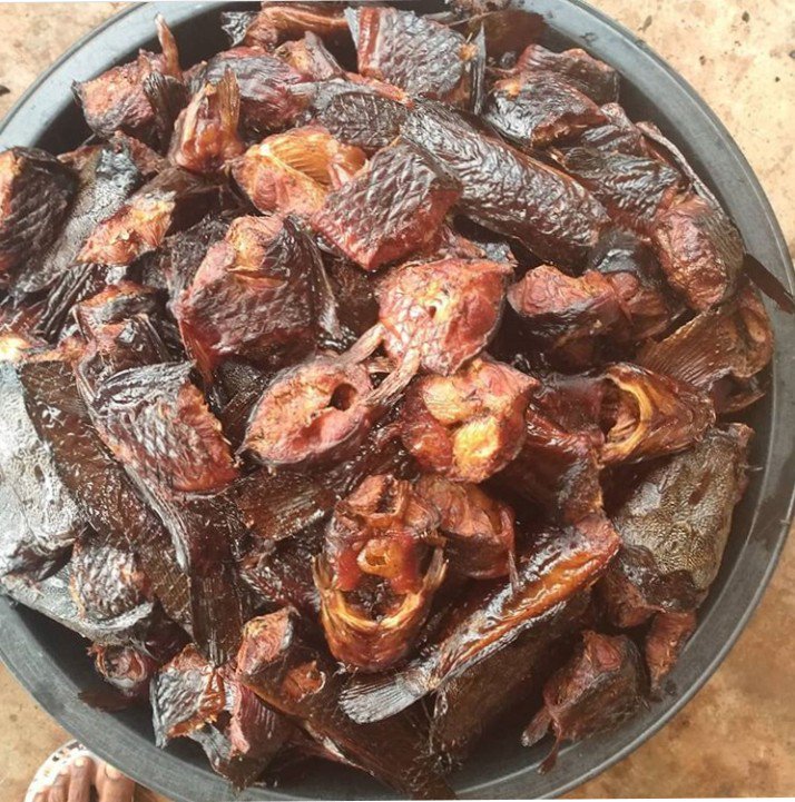 AmazingBenue's tweet photo. With okpehe jollof rice or fresh pepper/tomato stew with Benue rice??
Stop eating junks π€£π€£
#ExploreBenue
#ifb https://t.co/yVMt3HubZZ