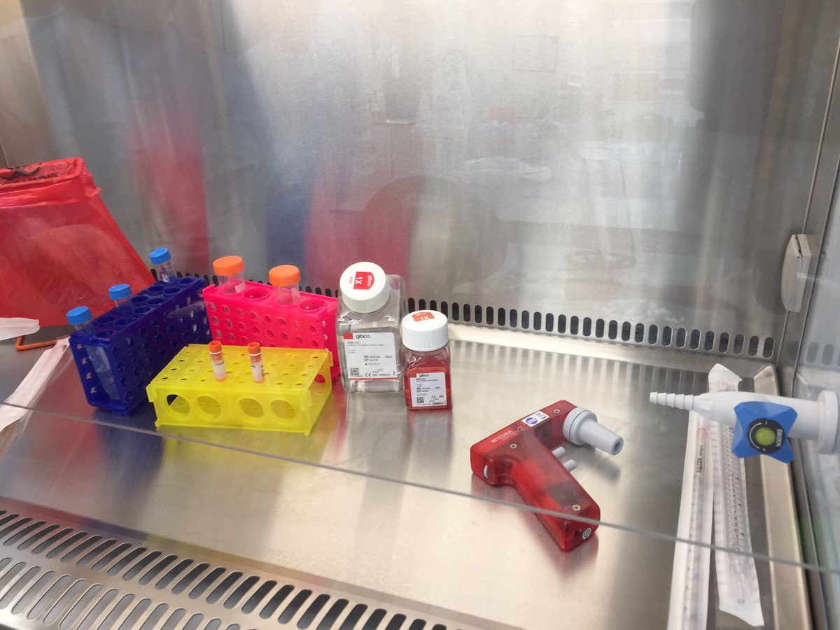 MrsMcGeehan's tweet image. Day 2 @merckgroup @BioReliance teacher placement. Fantastic morning learning about the lab skills involved at the company and having a go at the micropipetting and aseptic techniques. #SparkCuriosity #AlwaysLearning @SSERCSTEM @StAndrewsCLPL