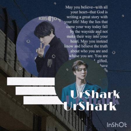 UrShark tweet media