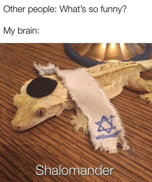 D7v0U1QXsAIob-F?format=jpg&name=small