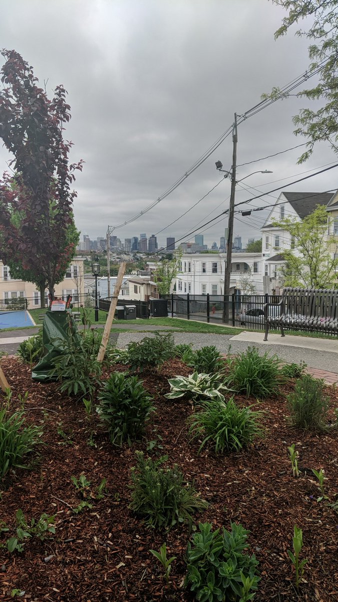 Boston City view from Bellingham Hill in Chelsea. #BHCCcecw