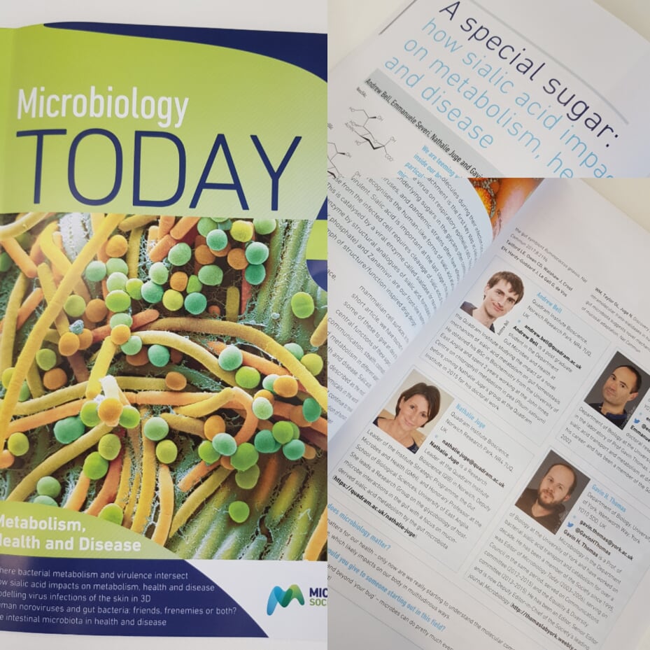 JugeLab (@jugelab) on Twitter photo A hardcopy of #Microbiology_Today from <a href="/MicrobioSoc/">Microbiology Society</a> featuring an article on sialic acid from our own <a href="/AndyBell223/">Andrew Bell</a> and Nathalie Juge, in collaboration with <a href="/GavinHThomas/">Gavin H Thomas</a> and <a href="/emm_severi/">Emmanuele Severi</a>, just landed on our desks! Check out the e-version here: microbiologysociety.org/publication/cu… A hardcopy of #Microbiology_Today from <a href="/MicrobioSoc/">Microbiology Society</a> featuring an article on sialic acid from our own <a href="/AndyBell223/">Andrew Bell</a> and Nathalie Juge, in collaboration with <a href="/GavinHThomas/">Gavin H Thomas</a> and <a href="/emm_severi/">Emmanuele Severi</a>, just landed on our desks! Check out the e-version here: microbiologysociety.org/publication/cu…