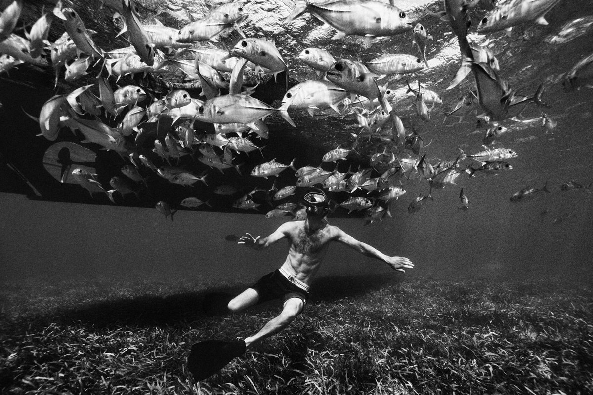 ArtAndMotionRep's tweet image. River Jordan shot on location in Belize for his new project, Coalesce Vol. I--this is the first in a series of on-going narratives that River is shooting as an homage to some of his favorite writers.

See more here: bit.ly/2MfzfZV
.
.
.
.
#riverjordanphoto #artandmotion