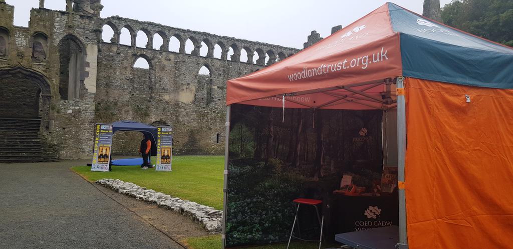 darwincentre's tweet photo. Looking for something to do today? Come to the Bishop's Palace in St. David's for their Wildlife Out West event! @BishopsPalace1 @thebugfarmUK @WoodlandTrust #VisitStDavids #Pembs #Cadw https://t.co/z3FOf5MdPq