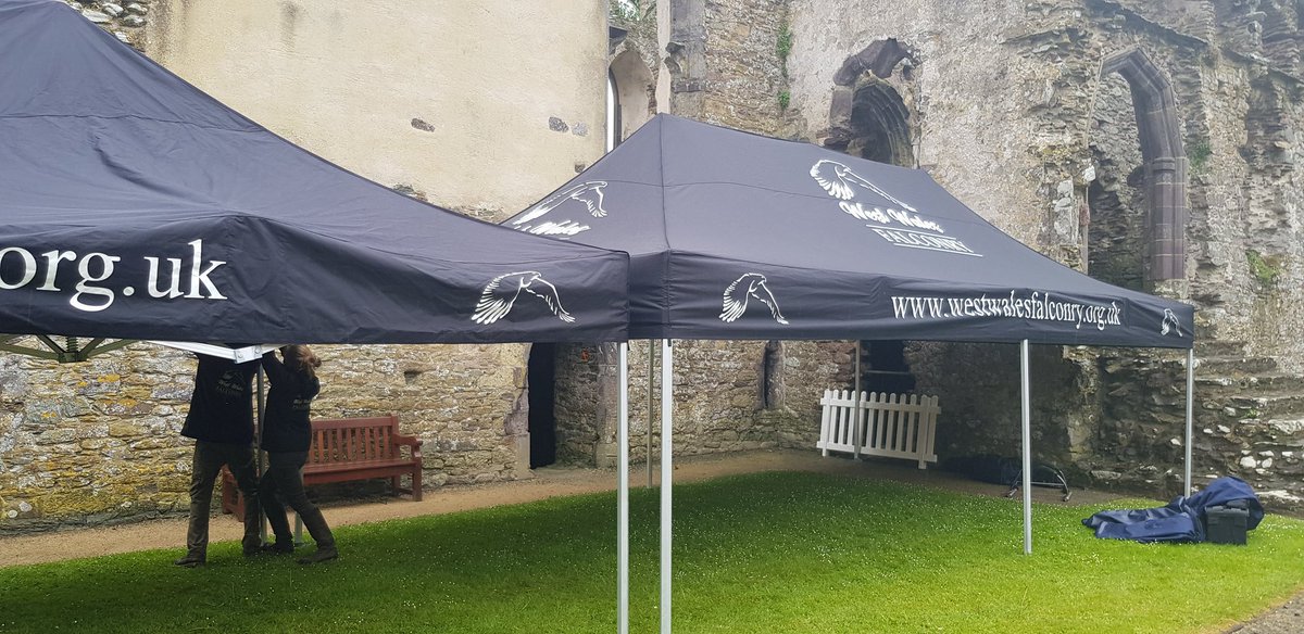 Looking for something to do today? Come to the Bishop's Palace in St. David's for their Wildlife Out West event! @BishopsPalace1 @thebugfarmUK @WoodlandTrust #VisitStDavids #Pembs #Cadw