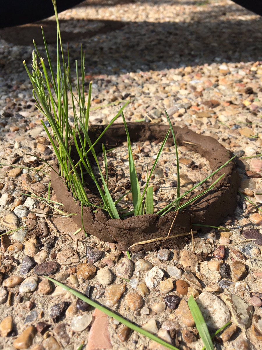 RoetzelArtClass's tweet photo. My 8th graders learned about #AndyGoldsworthy the nature artist, then went outside to enjoy the sun and make our own nature art! And of course had to watch #NeatureWalk to full appreciate nature. #thatsprettyneat @spearfishms https://t.co/mEEt4v40yz