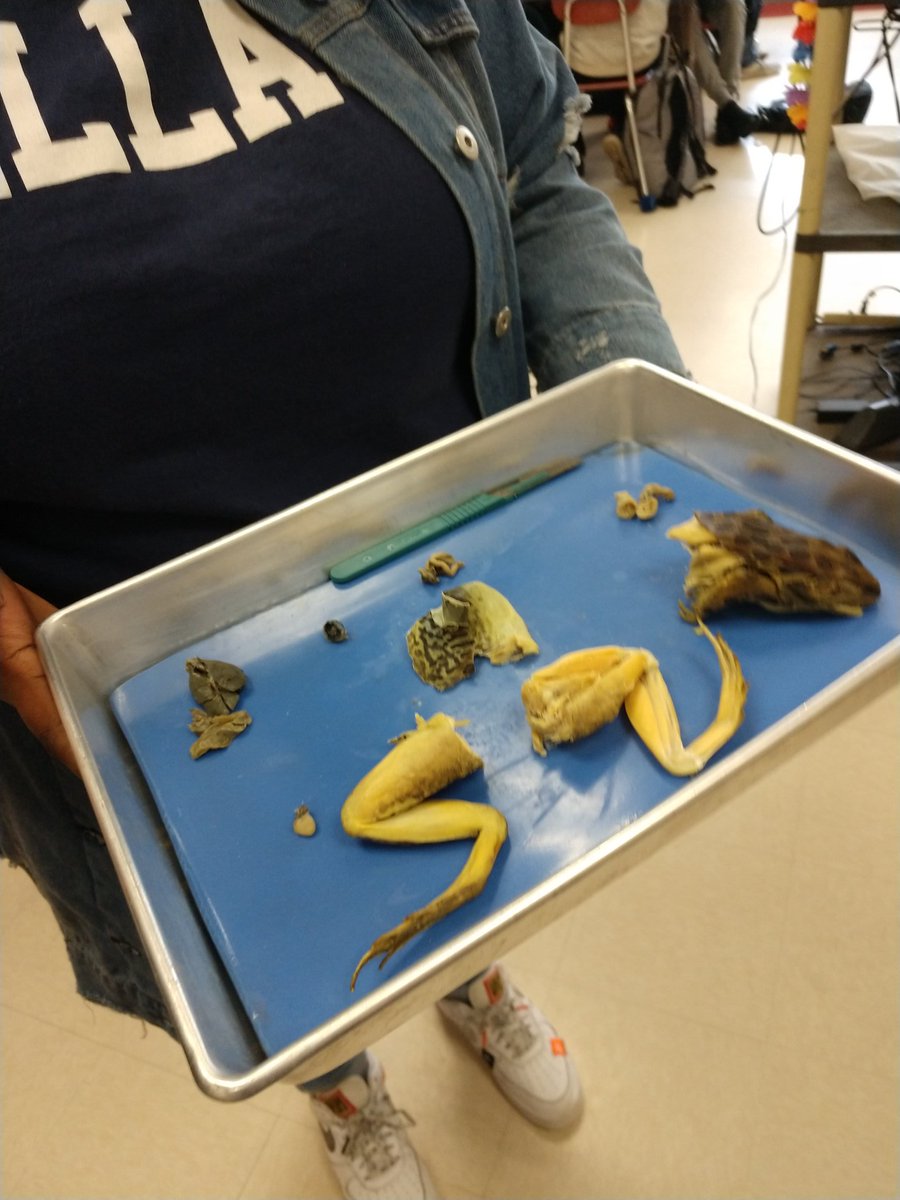 Kelly McNeary tweet media