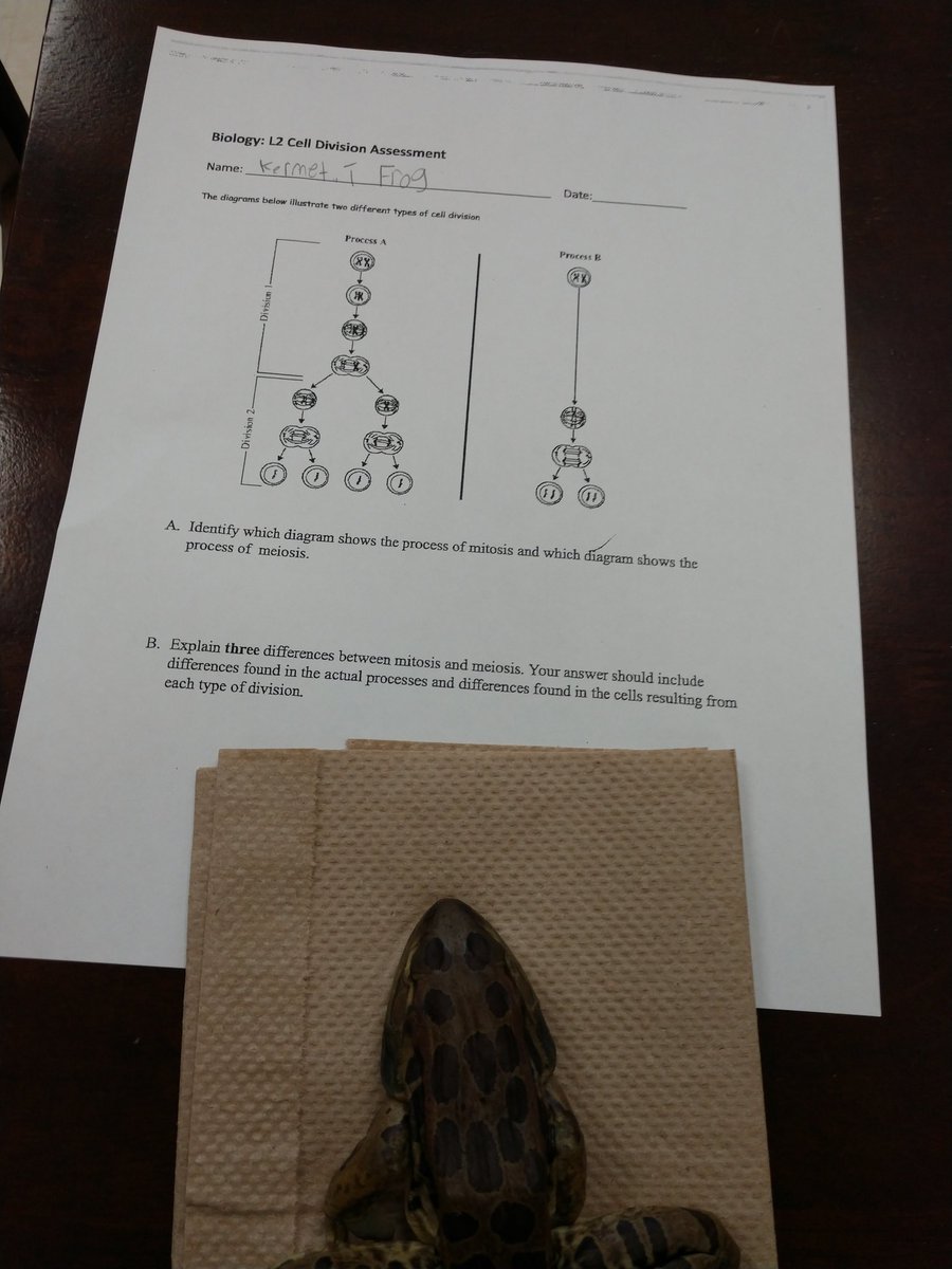 Kelly McNeary tweet media