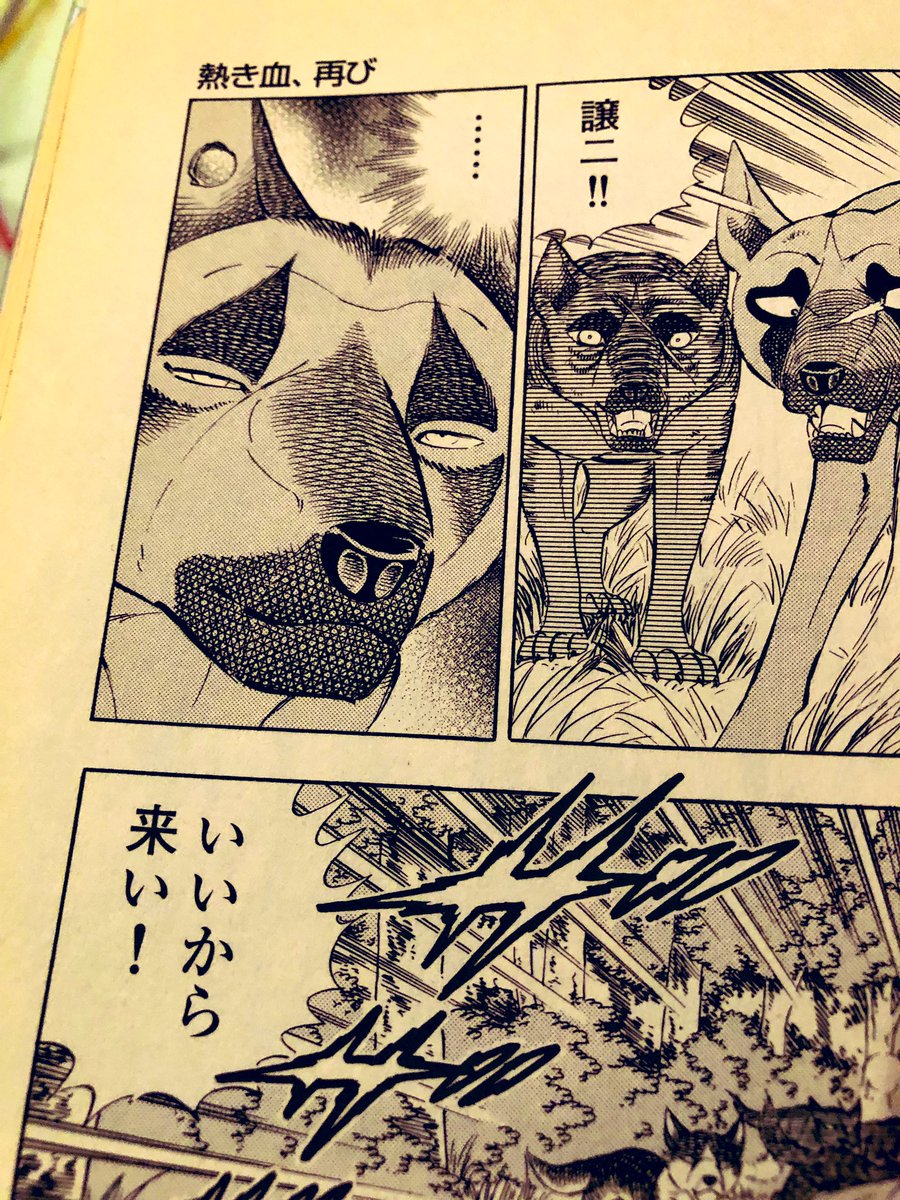 🌌高橋よしひろ先生新連載🌌銀牙伝説レクイエム🌌 (@katukatu210