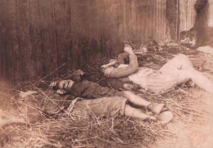 Kasjopea tweet media