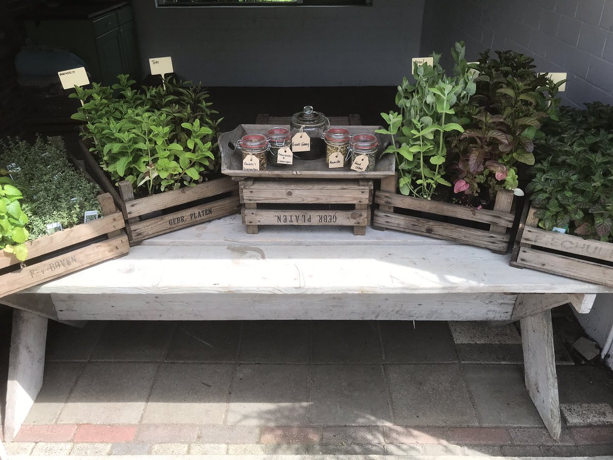 OlDaip's tweet photo. Morgen de eerste dag van de Proef de tuin dagen! Wij zijn er klaar voor. Tot morgen allemaal! #kruiden #groenten #proef de #tuin #Groningen #westerwolde #Terapel https://t.co/distP8r489