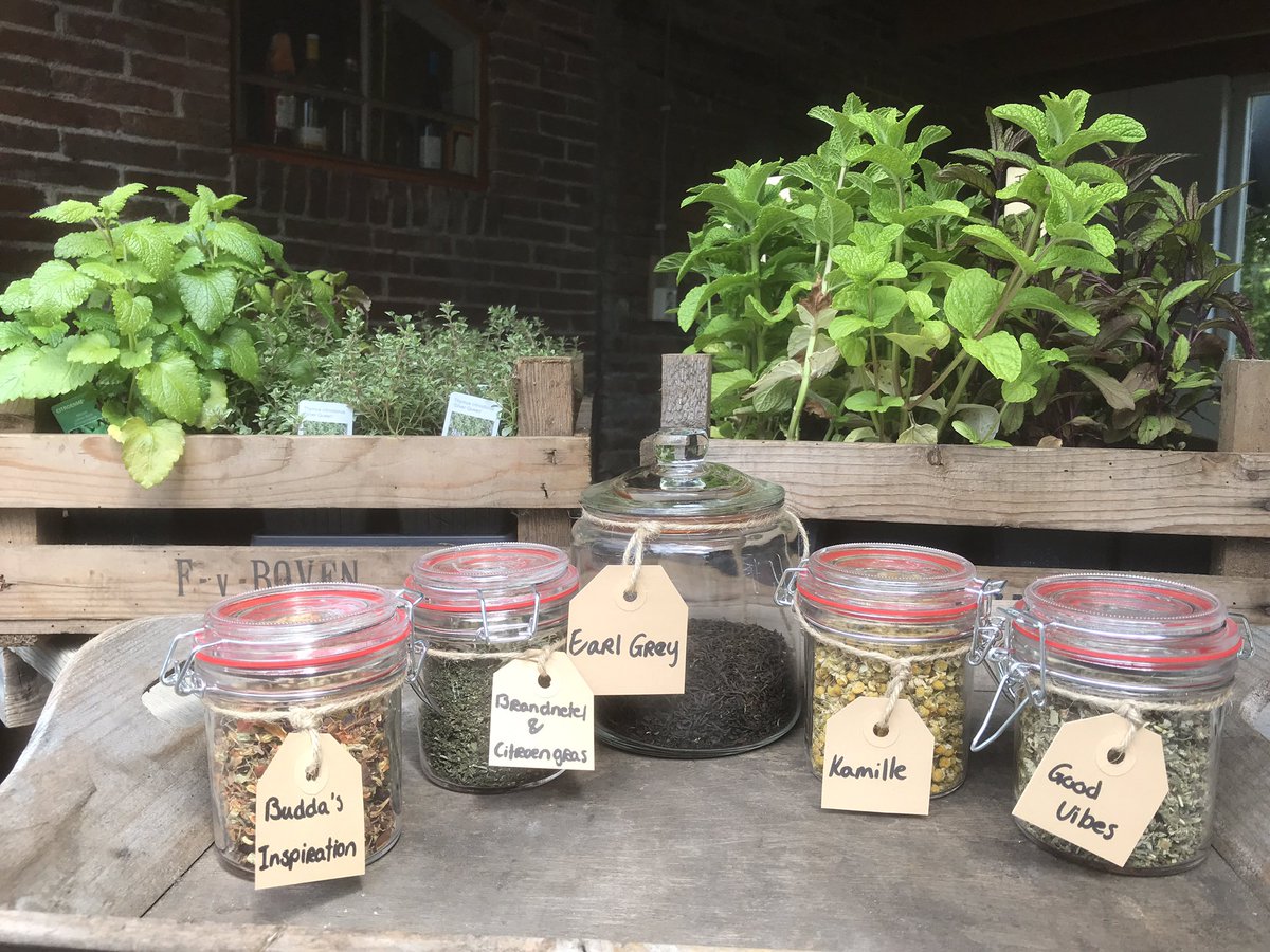 OlDaip's tweet photo. Morgen de eerste dag van de Proef de tuin dagen! Wij zijn er klaar voor. Tot morgen allemaal! #kruiden #groenten #proef de #tuin #Groningen #westerwolde #Terapel https://t.co/distP8r489