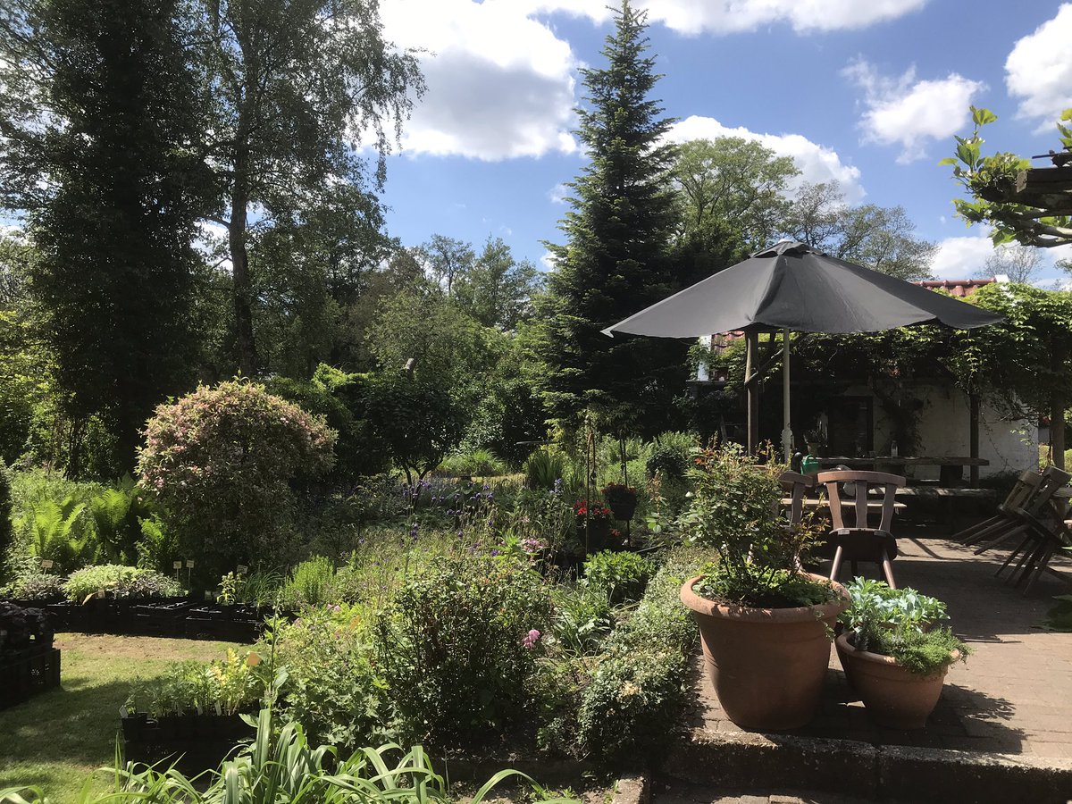 OlDaip's tweet photo. Morgen de eerste dag van de Proef de tuin dagen! Wij zijn er klaar voor. Tot morgen allemaal! #kruiden #groenten #proef de #tuin #Groningen #westerwolde #Terapel https://t.co/distP8r489