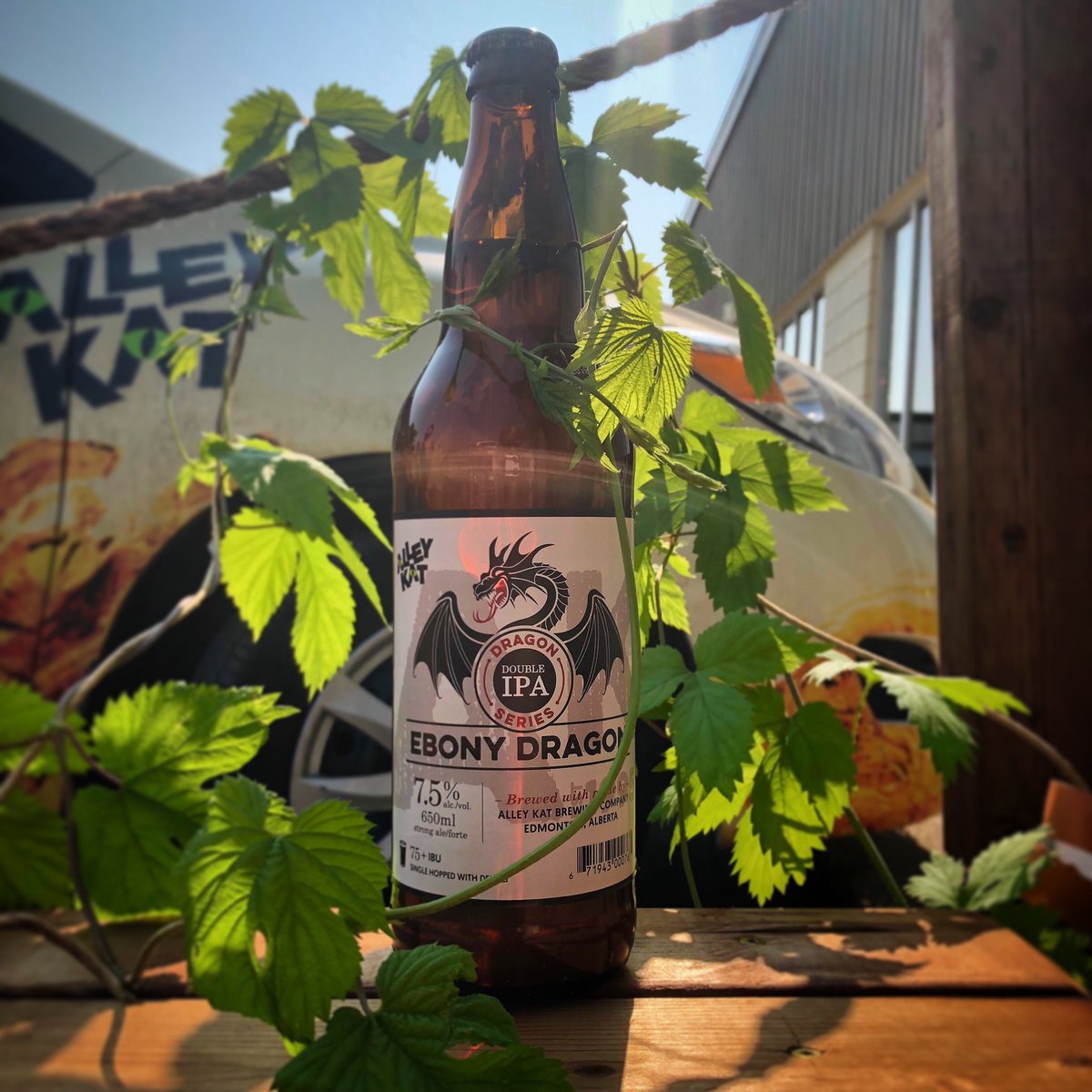 Hey Hop-Heads, keep your calendars open! The <a href="/windhoverfarms/">Northern Girls Hops</a> will be at Alley Kat tomorrow, 5pm - 7pm, selling their rhizomes!

Get your paws on a bottle of Ebony Dragon IIPA (feat. Denali) to go with your new hop-baby! 🌱
For more on this beer, visit: alleykatbeer.com/our-beer