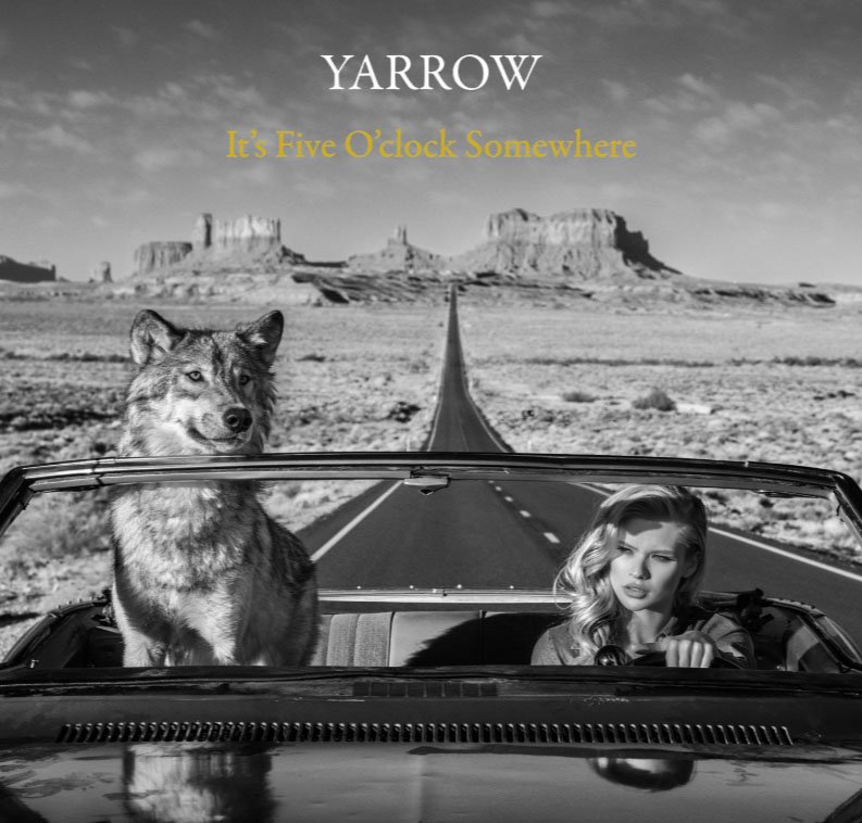 NikonEurope's tweet photo. Got any plans tonight? If not, then we've got just the thing. Grab a drink and enjoy an engaging 43 minute podcast covering the adventures, incredible work, career & story behind this shot with world reknown fine-art #photographer and #NikonAmbassador, @David_Yarrow #prophotogs https://t.co/FUfOFYCKoZ