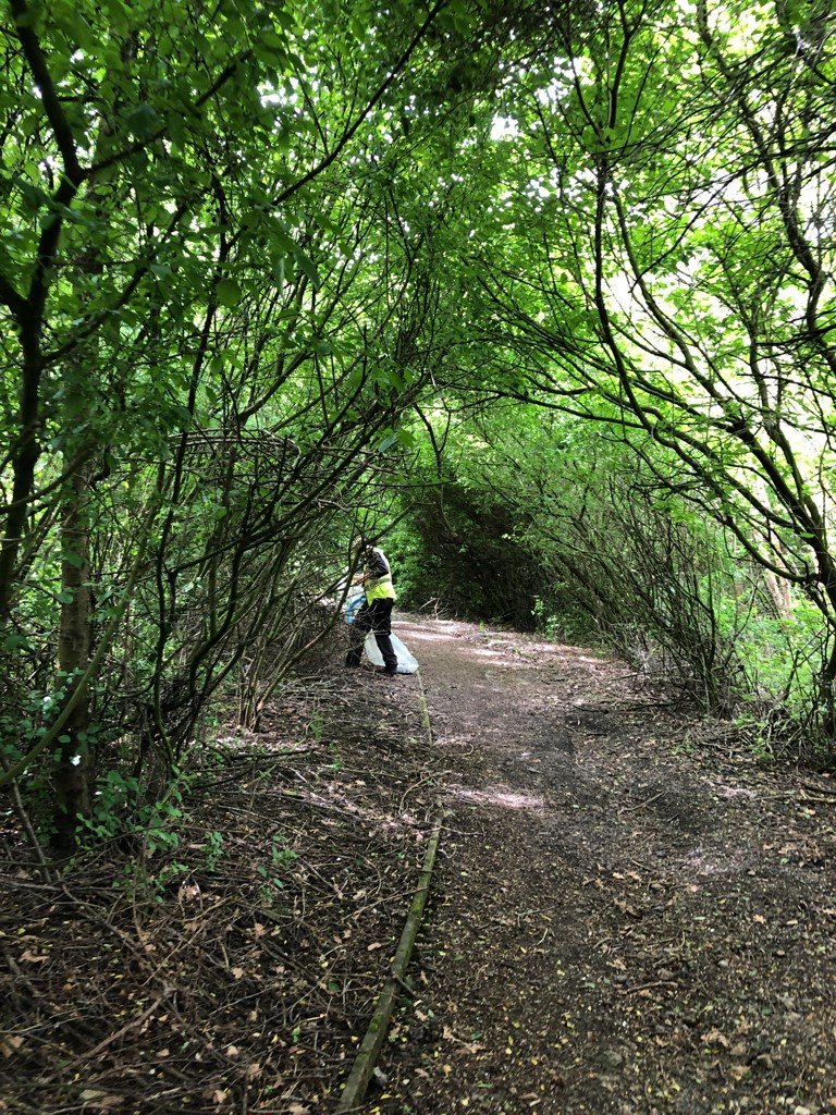 White Rose tweet media