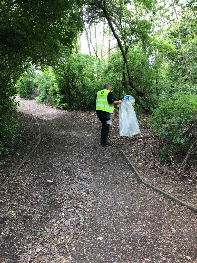 White Rose tweet media