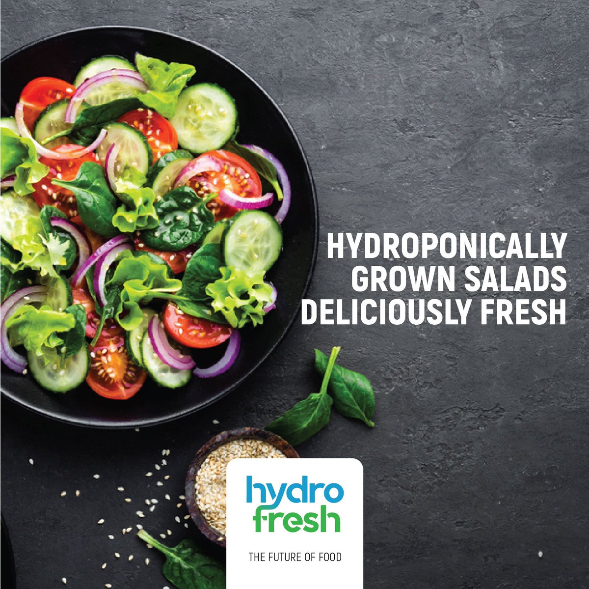 GoHydrofresh's tweet photo. Fresh, crisp hydroponically grown vegetables and salads. Go ahead, treat yourself.

#hydrofresh #hydrokartIndia #gohydrofresh #Bangalore #hydroponics #hyroponicallygrown #salads #vegetables #healthytreat #treat #organicsalads #healthyfood #health #nutritonalfood https://t.co/FKhpo1XkzV