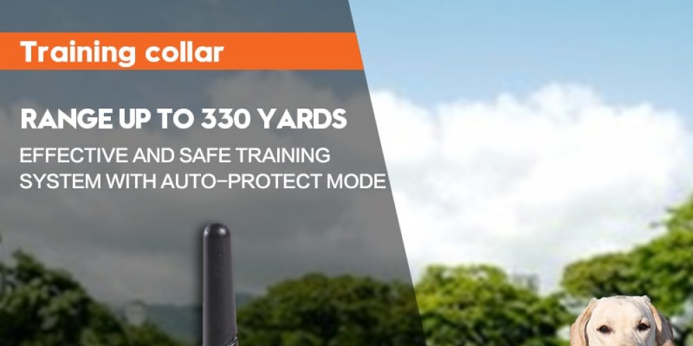 WebstersReview's tweet photo. #fashion #watches #householditems #gadgets #jewelry #fitness Rechargeable Waterproof LED Electric Vibration Beep Shock Dog Training Collar https://t.co/GrCIYBpORP https://t.co/NrqWQLKPvK