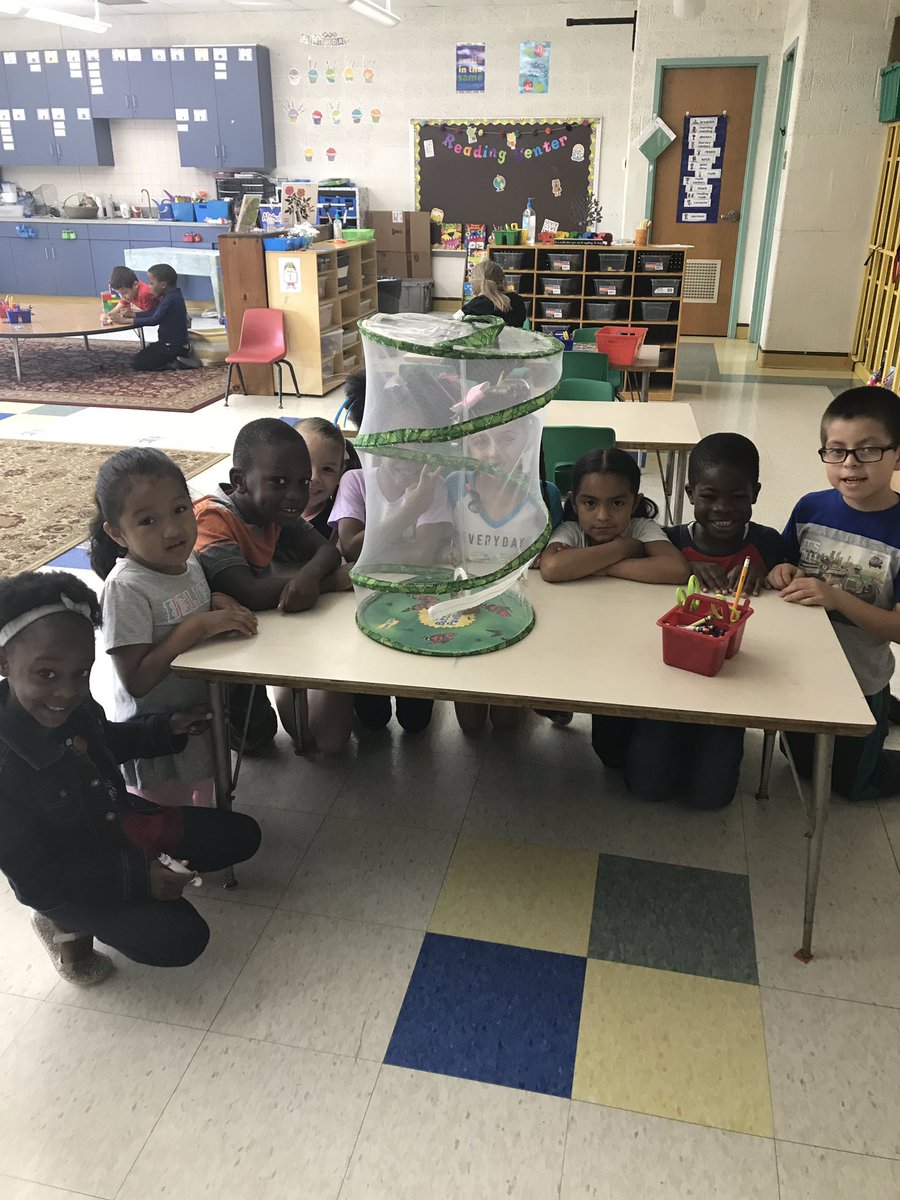So excited to watch the cycle of the butterfly and finally see them hatch! <a href="/PLVBears/">Pleasantville Elementary</a>  #polarpride