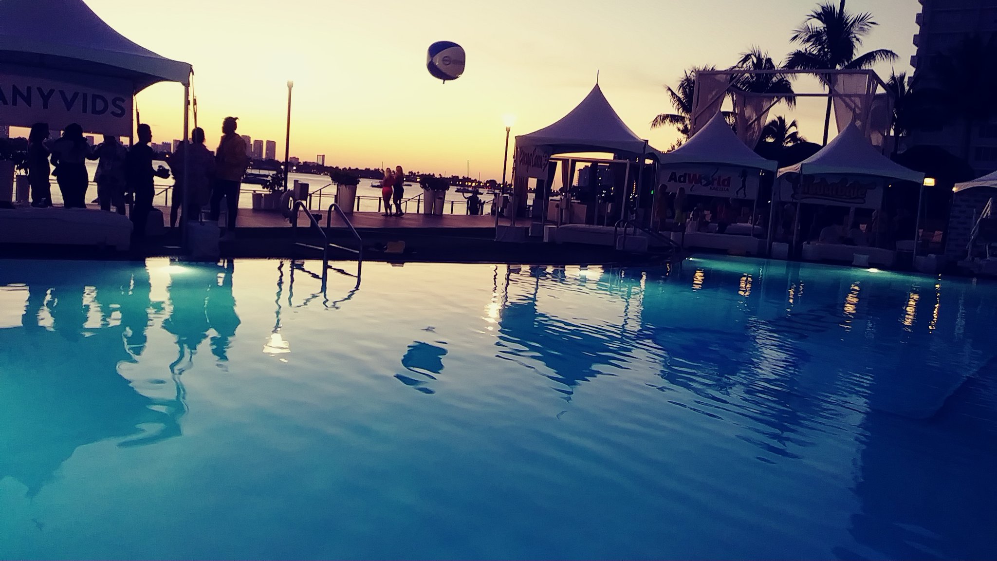 TW Pornstars - Don Prince LV. Twitter. XBIZ Miami #Pornlife. 1:05 PM