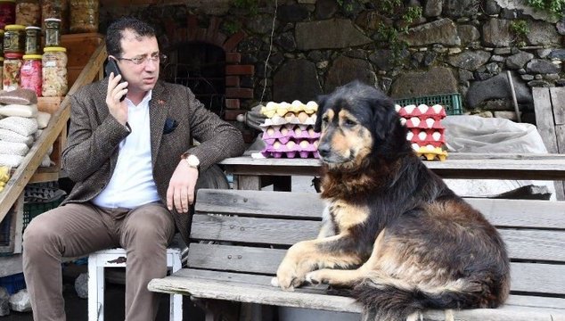CHP adayı sevimli köpeğin kontörünü bitirdi