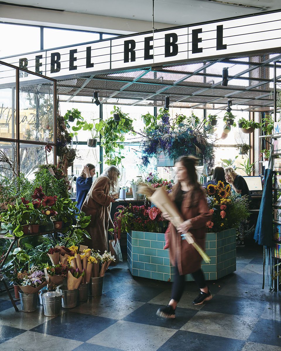 DLSM Studio tweet media