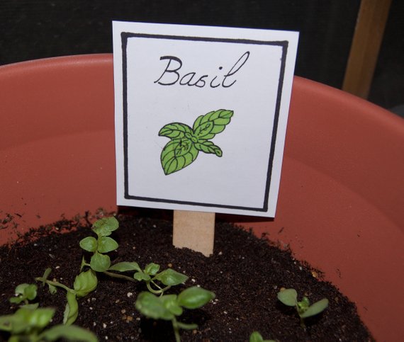SignsOfOurLife's tweet photo. Who's excited to get their garden ready? 

This lady!

I love to make my garden organized, gorgeous and functional using these Plant Markers. What are you growing this year?

https://t.co/UY8FygHSgg

#gardener #homegarden #healthliving #newgardener #springtime #herbgarden https://t.co/FdctGoFhMw