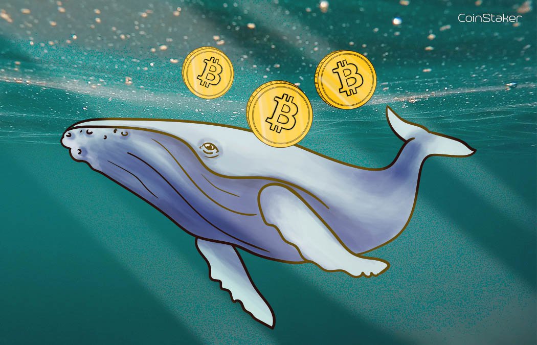 CoinStaker tweet media