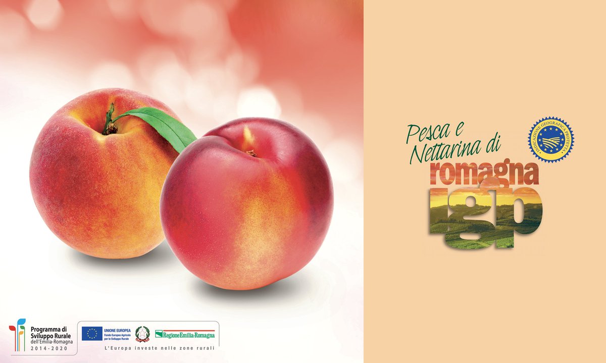 CSOItaly's tweet photo. Dal 21 giugno 2019 prenderà il via il progetto di #promozione della #Pesca e #Nettarina di #RomagnaIGP messo a punto da #CSOItaly per il Consorzio di Tutela nell'ambito delle attività di Promozione del #PSR – della Regione Emilia-Romagna.
https://t.co/SpusktH1jb https://t.co/v8v68NIroO