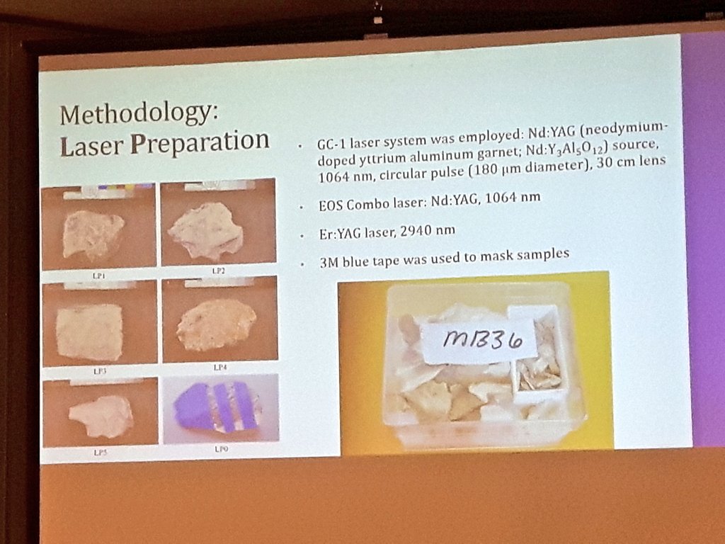 JackDAshby's tweet photo. As if working on #dinosaurs wasn't badass enough, fossil preparators use lasers to remove them from the rocks. BUT... @MarianaDGiacomo found that it was actually MELTING the dino bones. 😨
#SPNHC2019 #MuseumConservation https://t.co/4CGhw6paOH