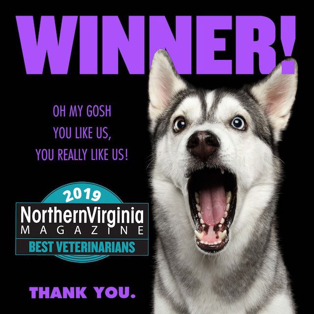 ChantillyNVVA's tweet photo. New Post: Northern Virginia Magazine’s 2019 Best Veterinarians
Check it out: https://t.co/PGbDtkIcQk https://t.co/3Rj3bACIsD