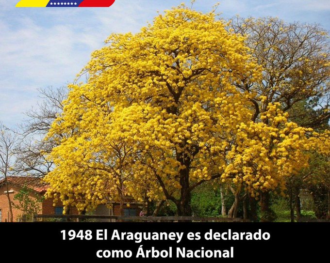 Ver imagen en Twitter