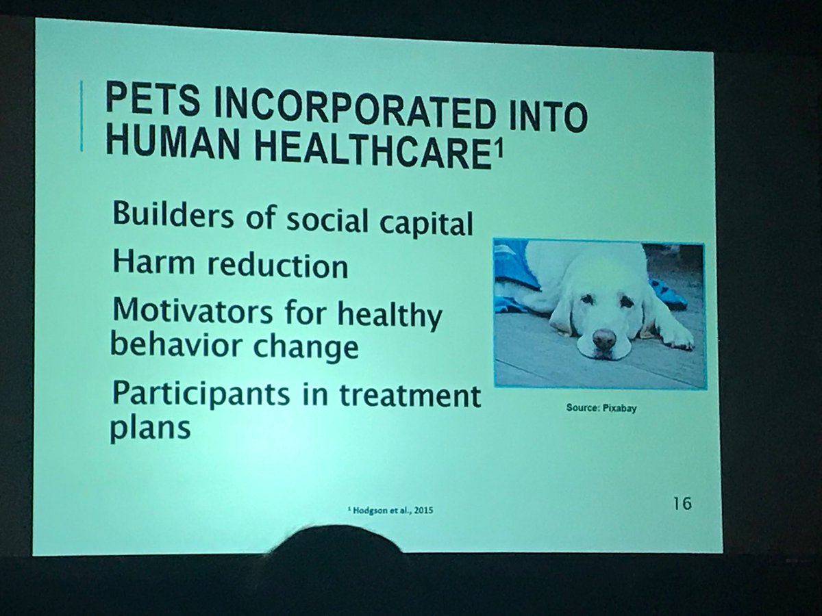 NicoleCronKenny's tweet photo. People with animals are more likely to attract other people. Helps with people to people interactions & improves our health. But not without risks of zoonotic diseases. #IFICIPAC2019 #IPACIFIC2019 #onehealth #zoonotic #disease https://t.co/BdnMVoXvcA