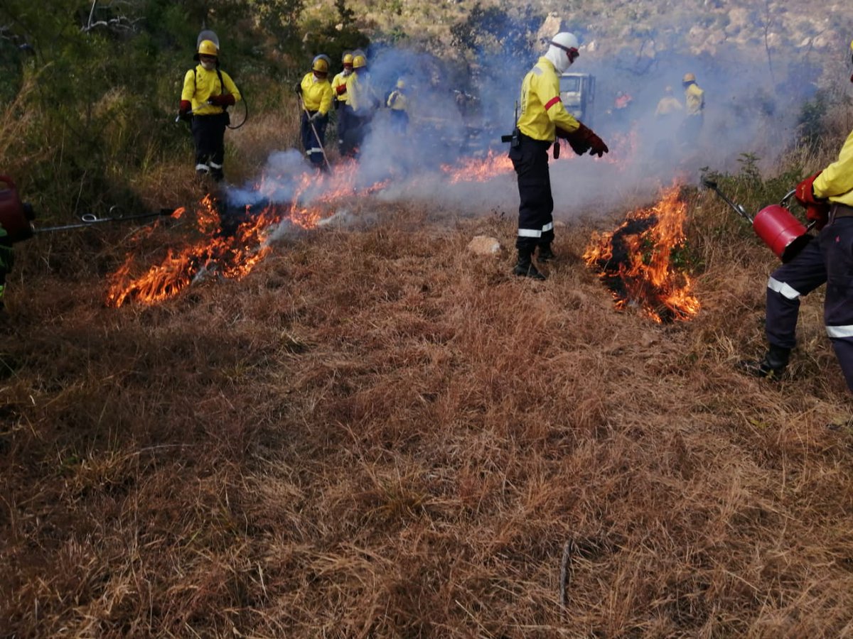 wo_fire's tweet photo. The #MPU_WOF Lepfa team successfully conducted prescribed burning in Nelspruit. The aim of the exercise was to reduce the risk of fire in and around the lodge.
#MPU_WOF #SavingLives #ProtectingEnvironment #FireSafe #PrescribedBurning #FireSeasonReadiness https://t.co/69aiDNjWBX
