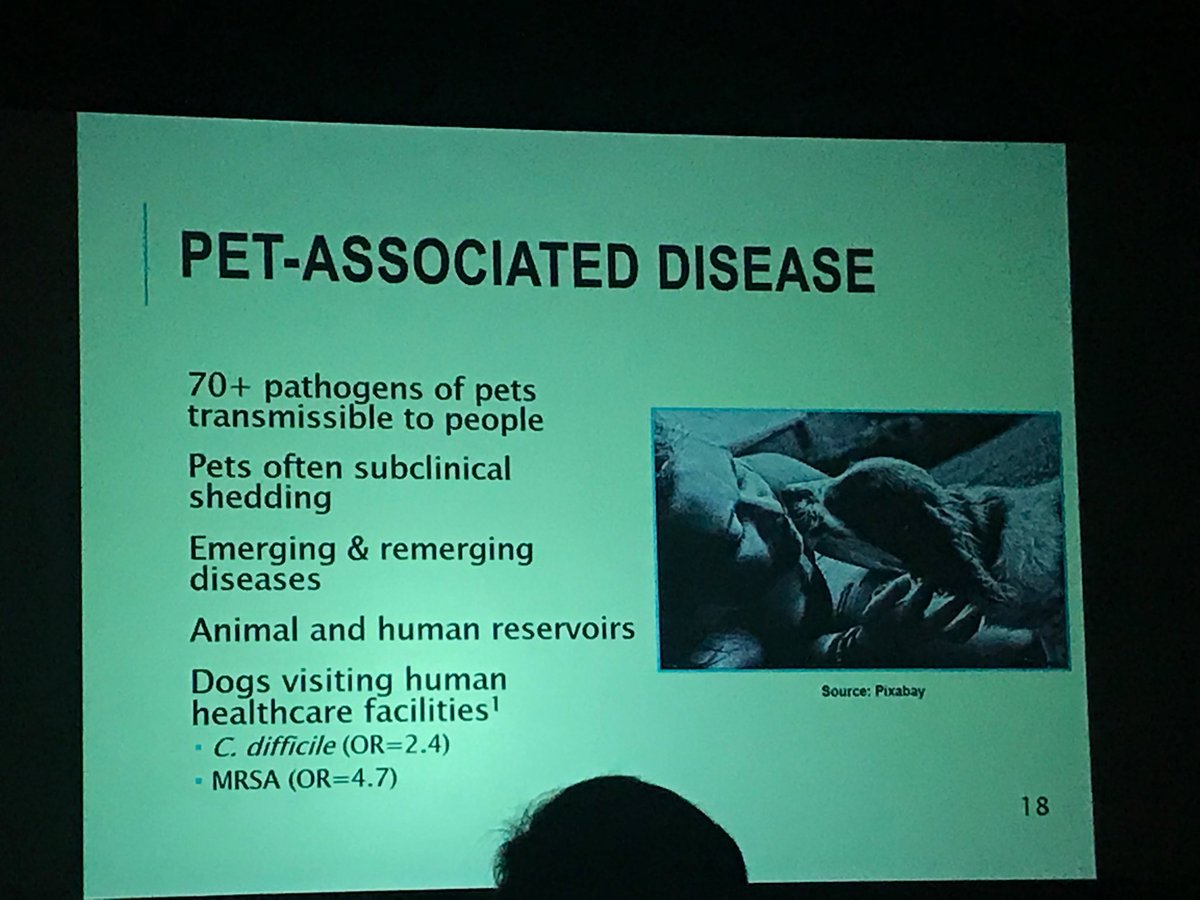 NicoleCronKenny's tweet photo. Be careful who you kiss. But it’s a 2-way street. Our pets can makes us sick but we can make them sick to..... #IFICIPAC2019 #IPACIFIC2019 https://t.co/hiCELN7cPg