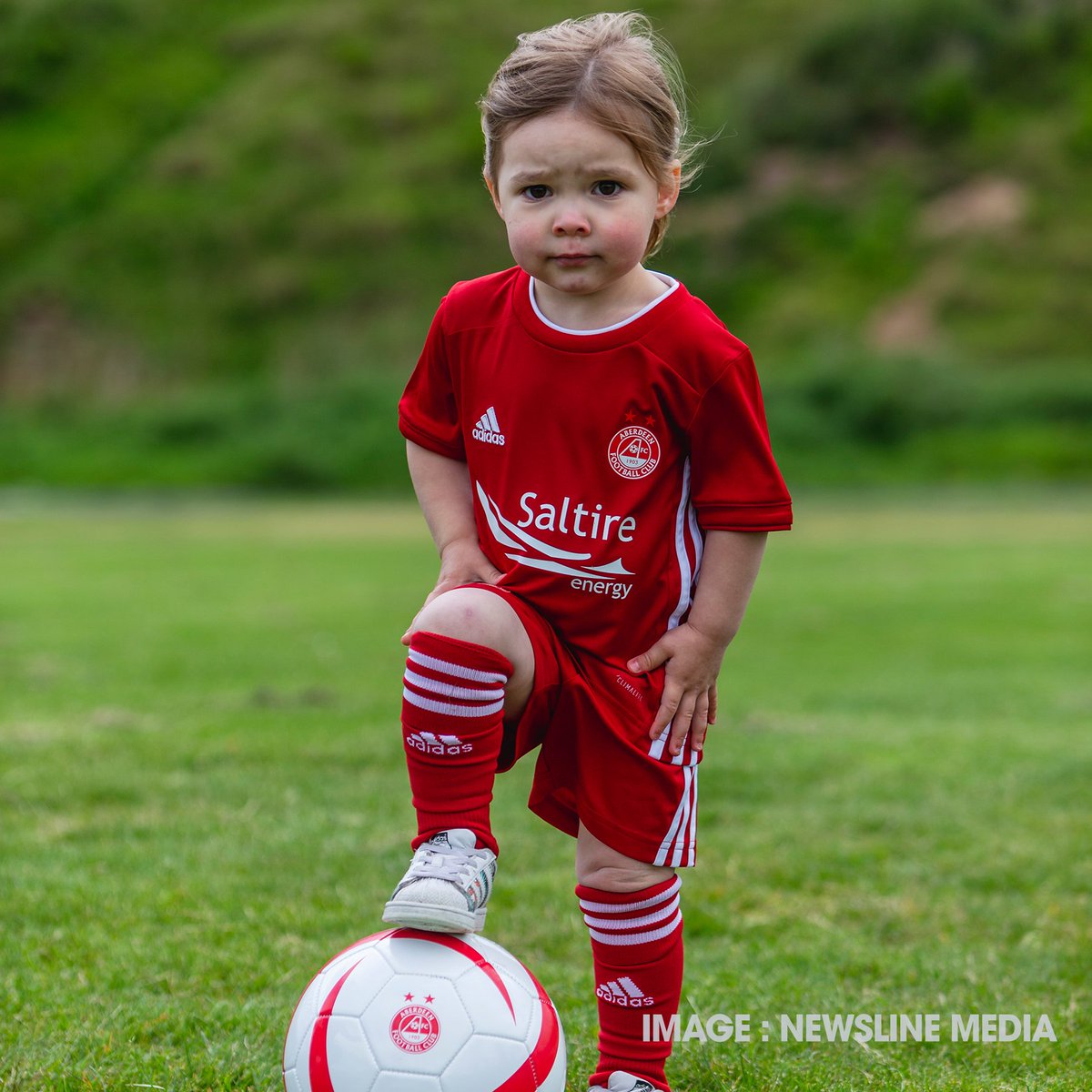 Aberdeen FC tweet media