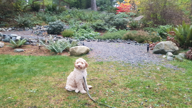 Taku Resort tweet media