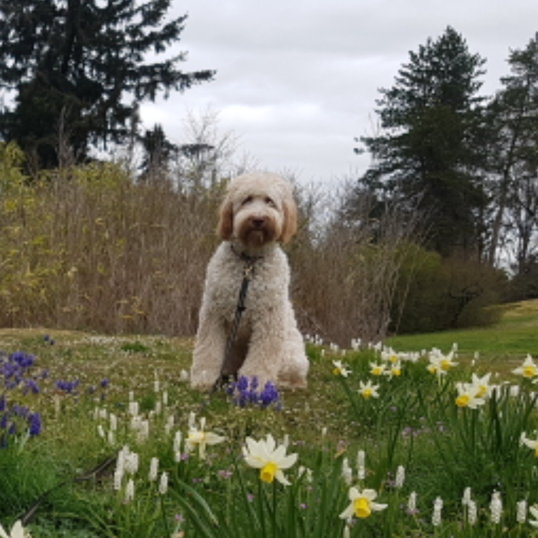 Taku Resort tweet media